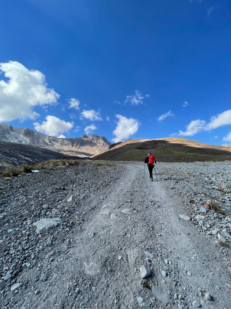 Alpine hiking trek in New Zealand