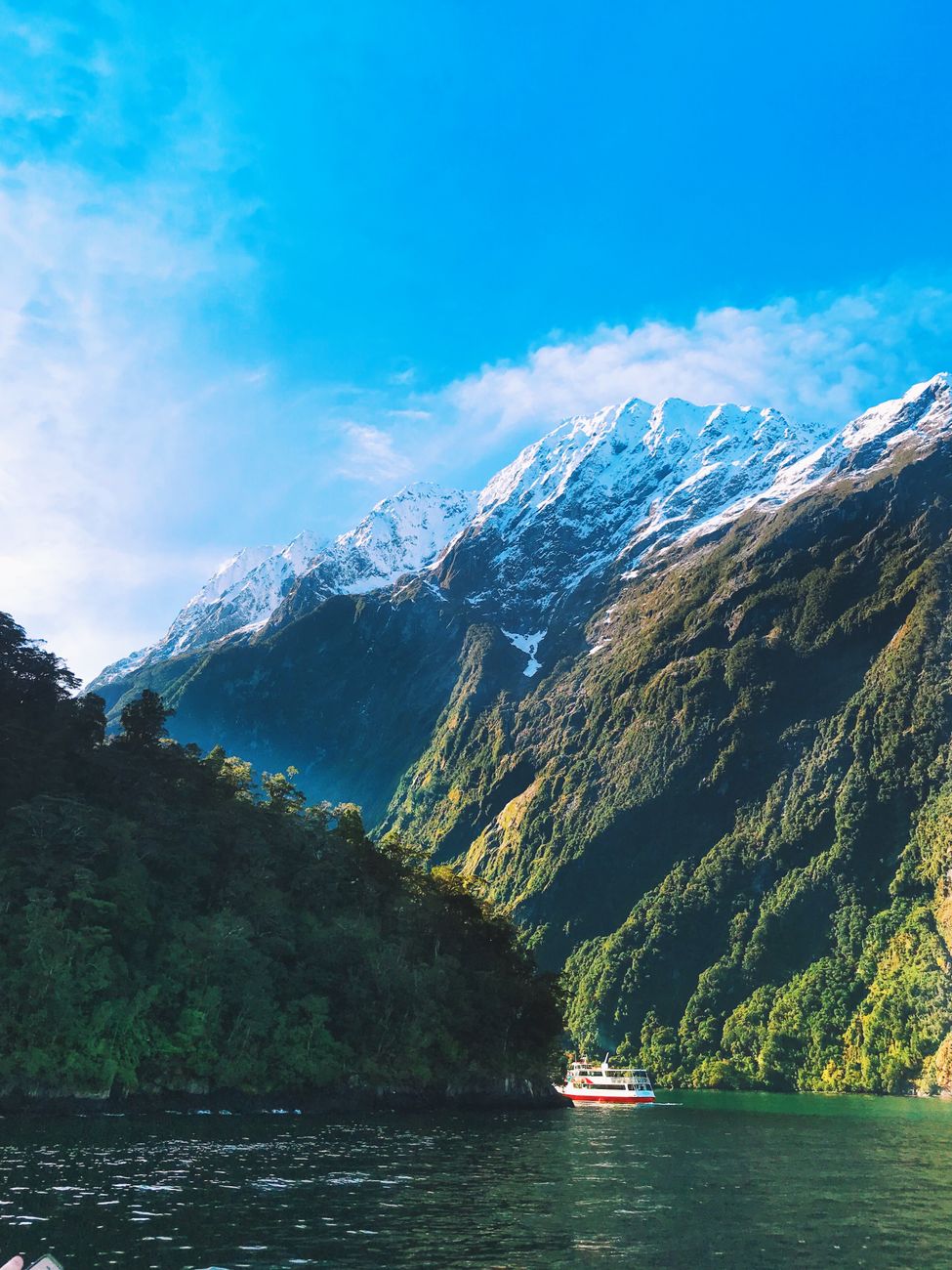 New Zealand South Island Landscape